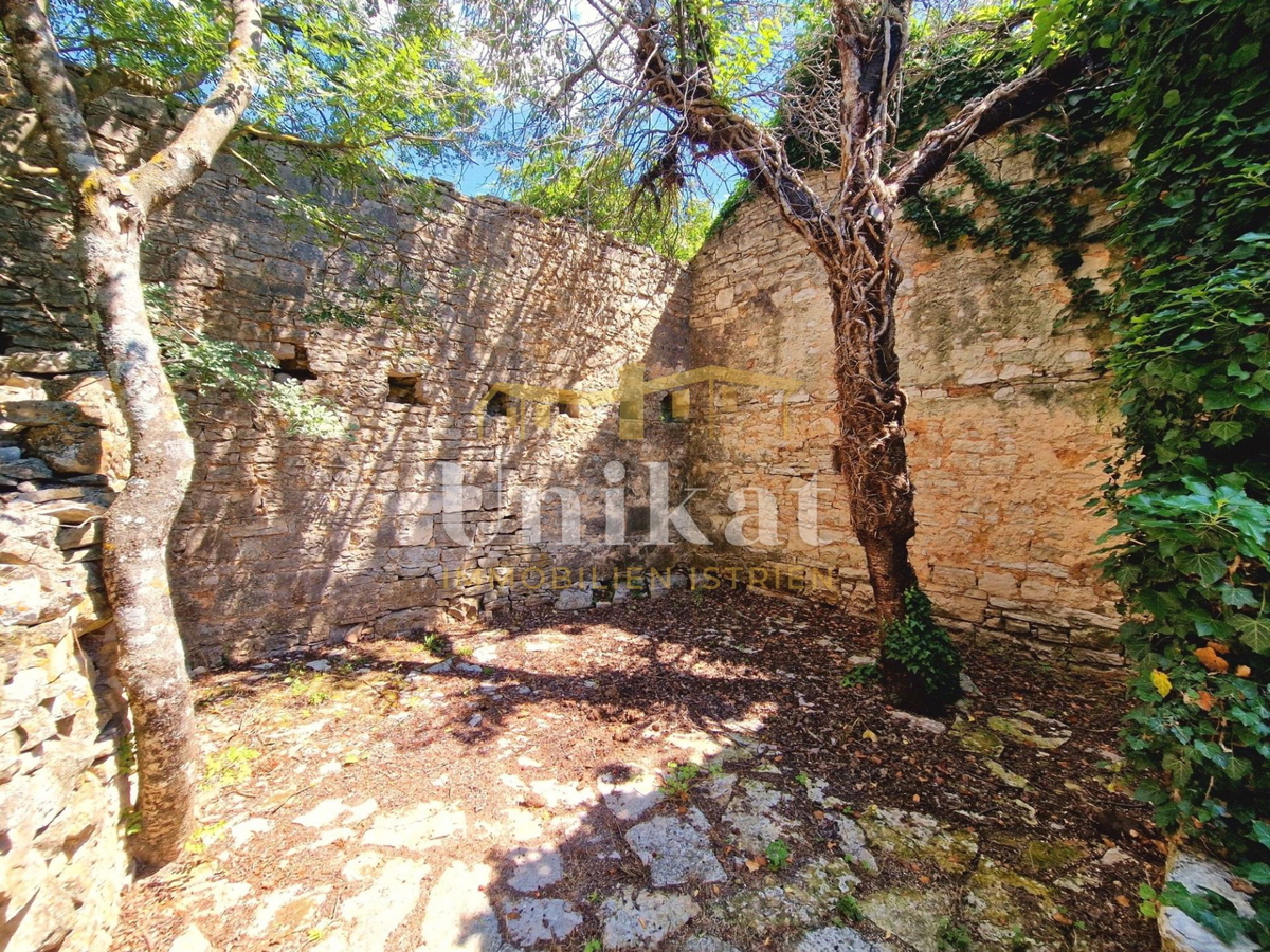 Autentica proprietà con casa in pietra e ampio terreno